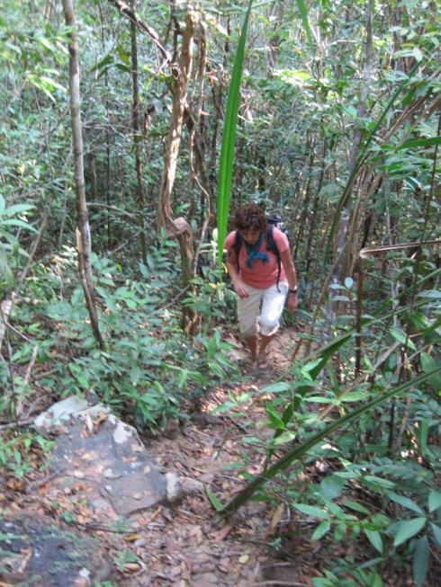 Track to Robinson Beach