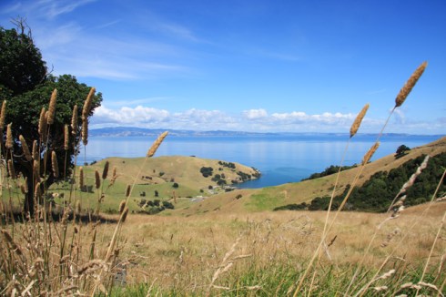 Colours look unreal!