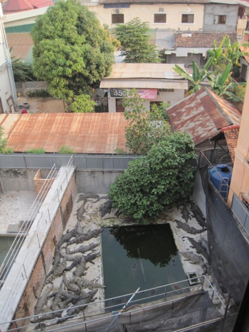 Didn't swim in hotel pool