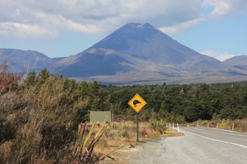 Mt Doom with Kiwi sign