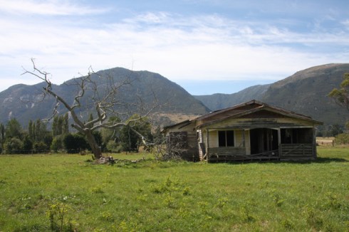 Needs a little attention