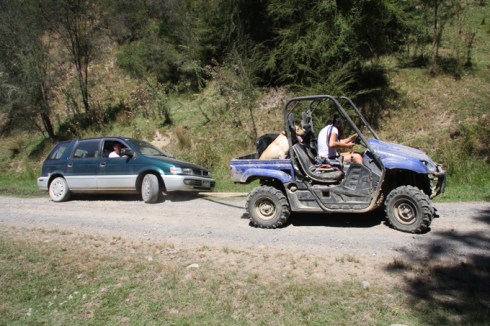 Pulled out by a mule